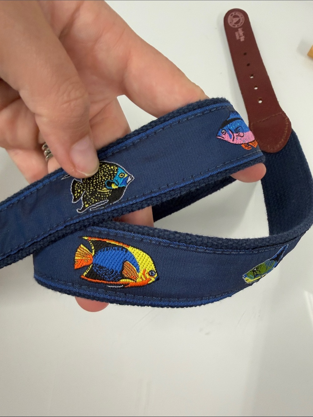 Navy Tropical Fish Embroidered Pet Collar 35"